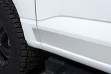 10pcs 4.25in Wide SS Rocker Panels — 21-24 Ford F-150 — primary product image
