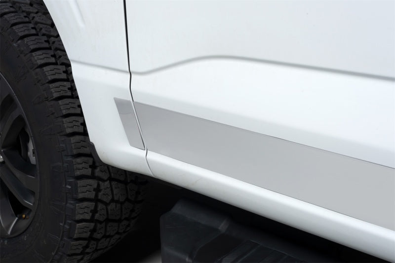 10pcs 4.25in Wide SS Rocker Panels — 21-24 Ford F-150 — primary product image