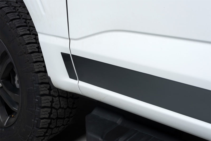 10pcs 4.25in Wide SS Rocker Panels — 21-24 Ford F-150 — primary product image