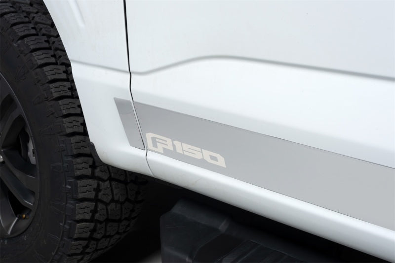 10pcs 4.25in Wide SS Rocker Panels — 21-24 Ford F-150 — primary product image